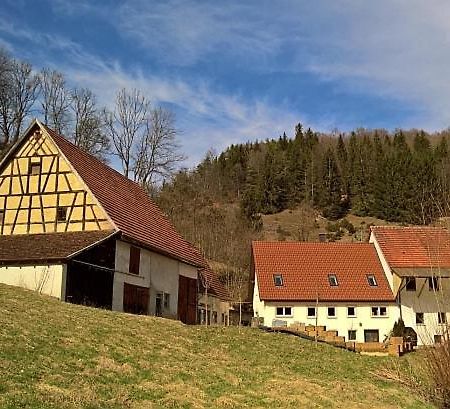 Вилла Muehlenchalet Gundershofen Экстерьер фото